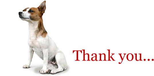 Dog Thank You